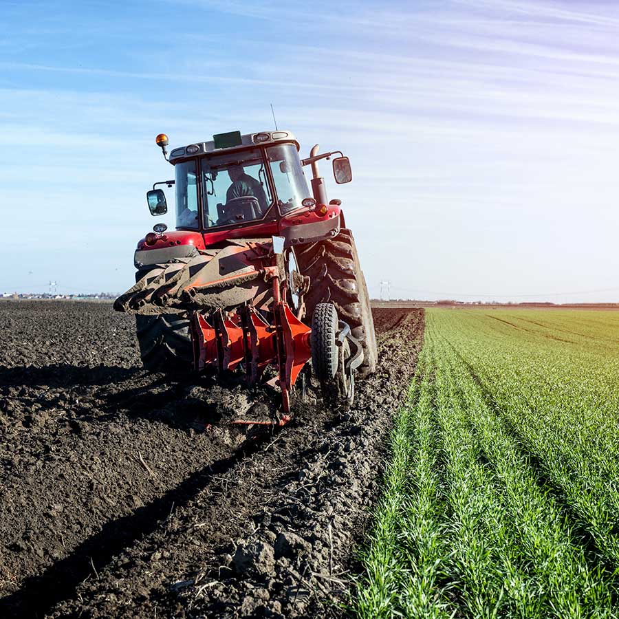 Consulenza e Progettazione in Campo Agricolo Sassari